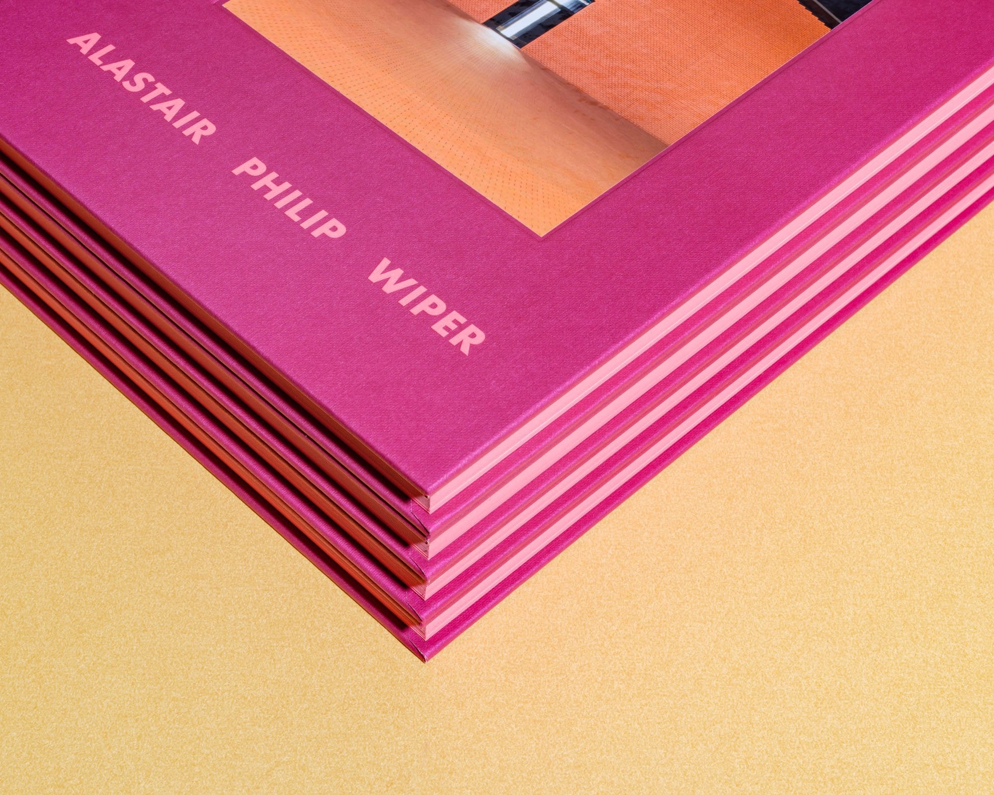 Building Stories book by Alastair Philip Wiper - 4