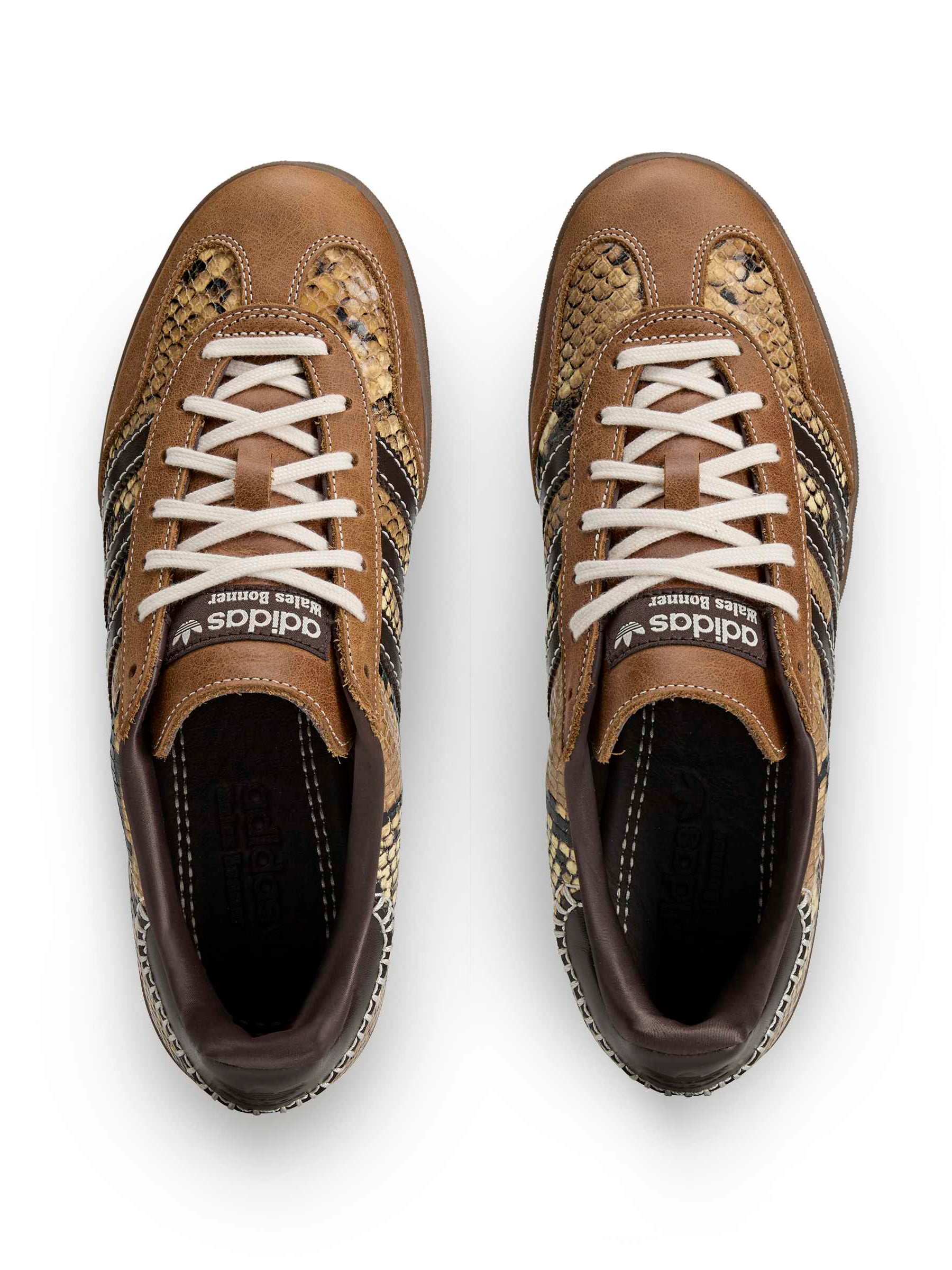 Wales Bonner x Adidas Gazelle Snake in Dust Rust Wonder White Collegiate Burgundy rust snake-embossed leather sneaker with co-branded tongue tab, top view – Wales Bonner x Adidas SS26