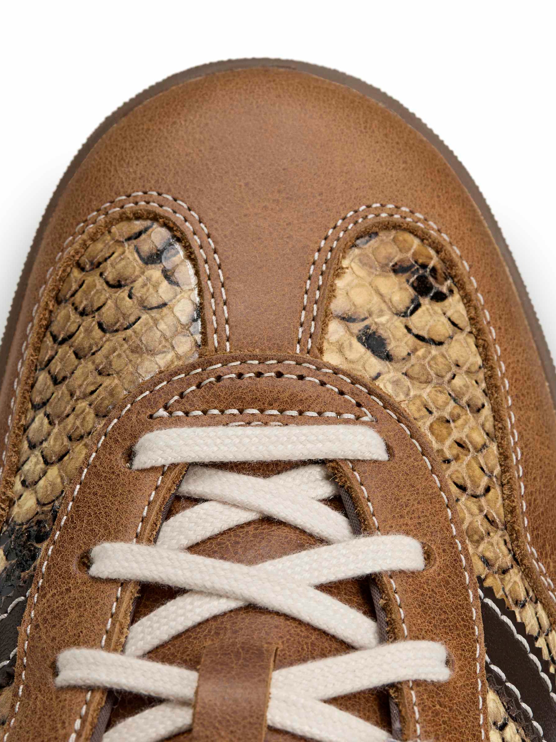 Close-up of snake-embossed leather toe, white lacing and Adidas branding on the Wales Bonner x Adidas Gazelle Snake in Dust Rust Wonder White Collegiate Burgundy – Wales Bonner x Adidas SS26